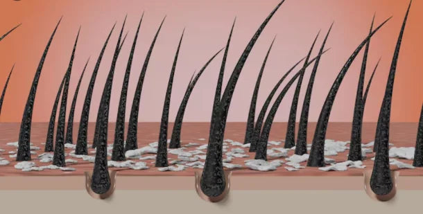 La science derrière la porosité des cheveux