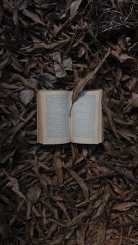 book open on dried leaves top-view photography