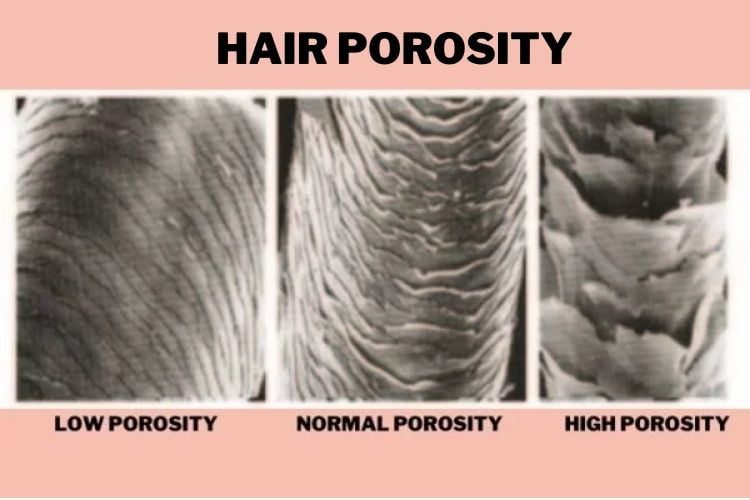 Hair porosity