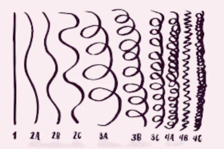 Different Curl Patterns